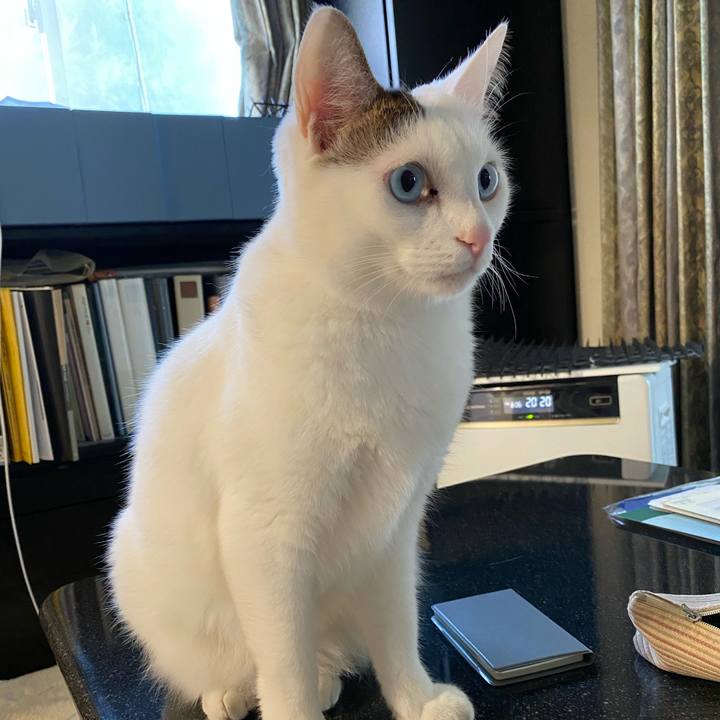 Dabcf258 bba2 47d5 883d 1f605eab38c7 1668552754192