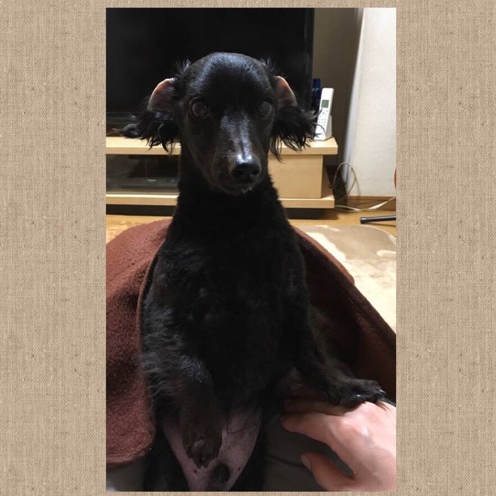 Dabd2936 e2d8 48ba 939a b9004d881971 1517350489656