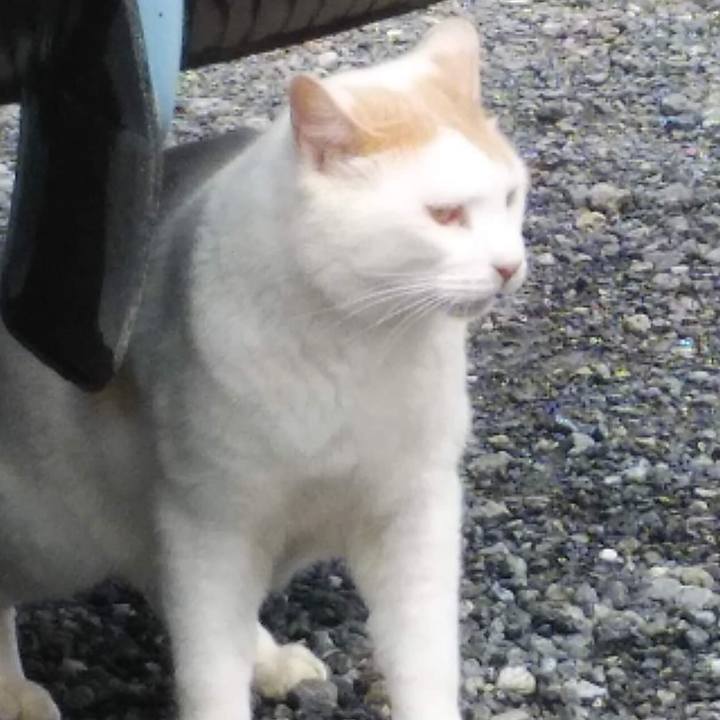 Dabd3cb2 6c9d 4e79 94d1 a2ecfc18b31e 1654568945384