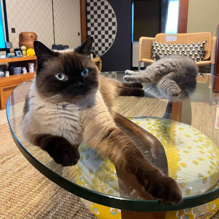 Dabd4745 5cbe 42c2 b154 4103714de6c4 1690017756679