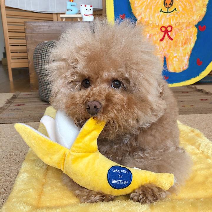 Dabd87c9 3653 4b5e b7a3 b3b421d338b3 1548853571986