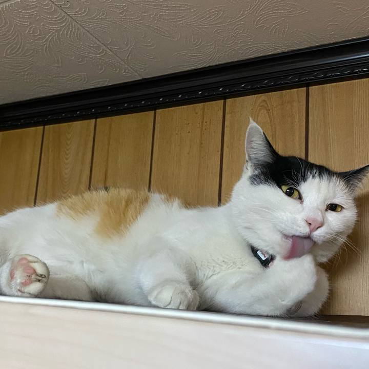 Dabd8ea4 5ddf 41d2 8564 8f92171793be 1643231585409