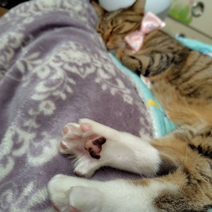 Dabdebc8 e050 4518 8d5d f8c2100a1709 1763263426421