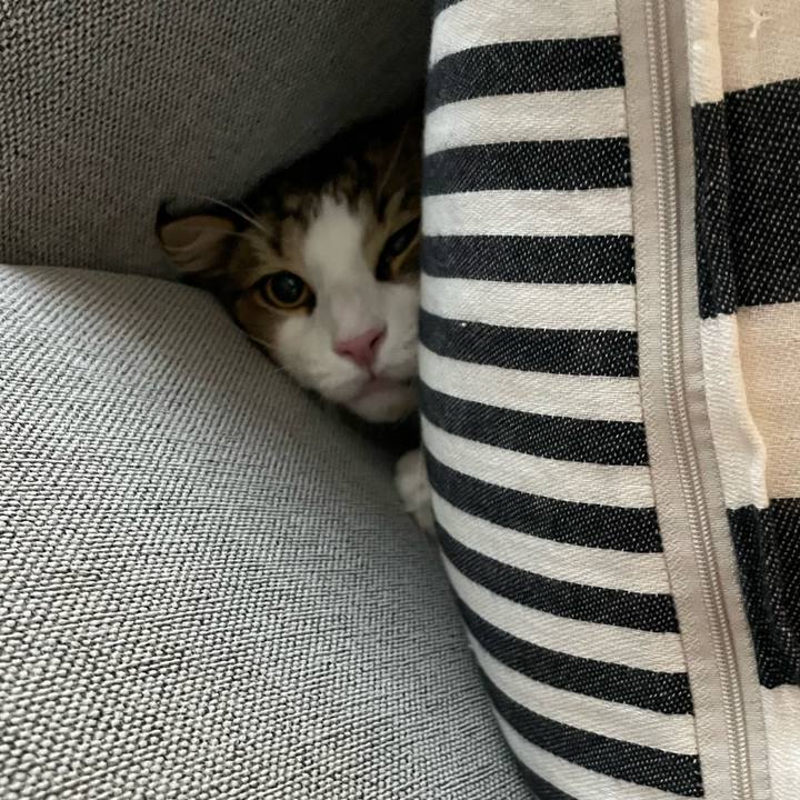 Dabdfe83 74ed 4f8f 8f45 8653f4ad137a 1660601674548