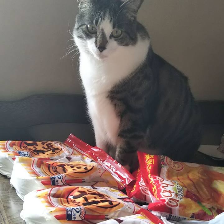 Dabe06b9 2029 423b b04a 7d796079654e 1629799632590