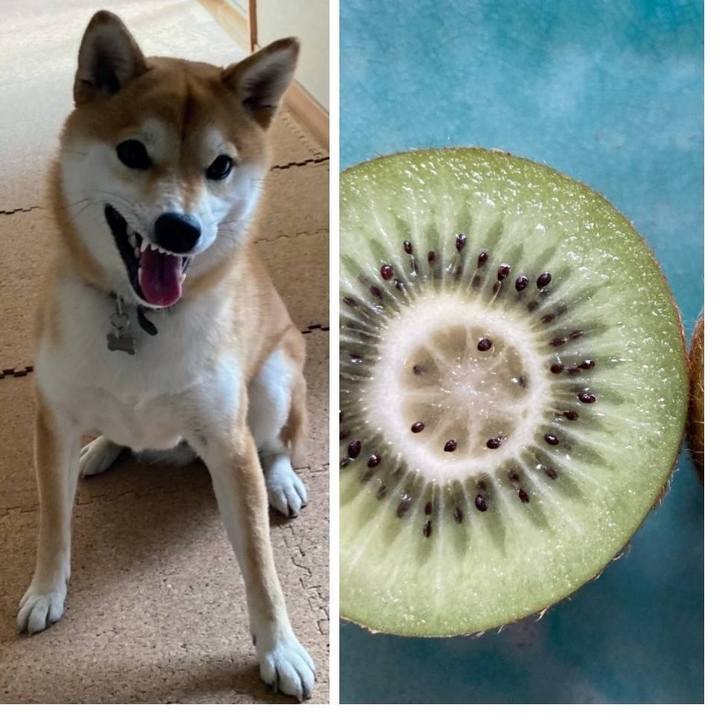 Dabe185e cbe7 4f43 af45 ffa8417ccf7b 1655210819977