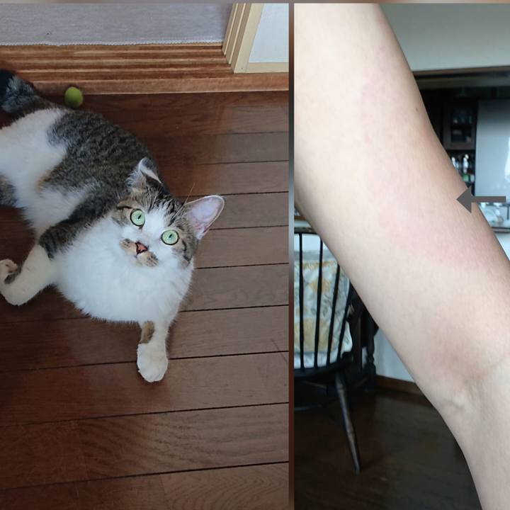 Dabe2c70 41b9 451e 85c9 3e6af5ee9c1c 1625884053809