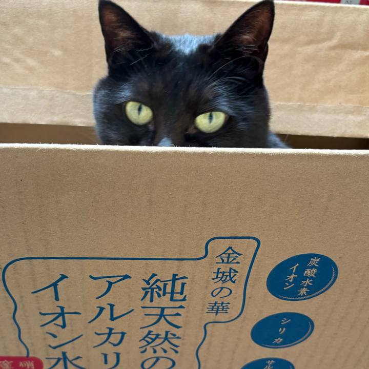 Dabe4342 35d0 4306 b56e 561886215061 1760828883954