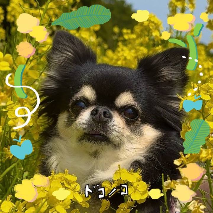 Dabe4dea f29d 476b 8af1 158a39681c44 1744501448147