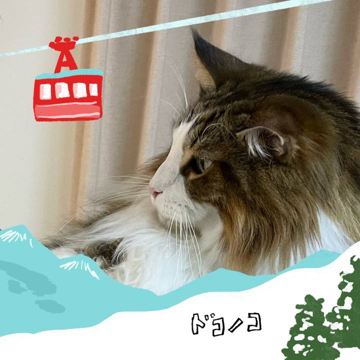 Dabe5a62 b1e5 483f 87e9 abd0ffe9d4e3 1706815151101