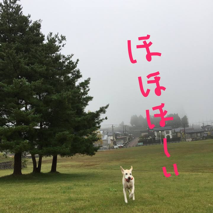 Dabea61d 8826 4e81 88c9 5f68f45780b9 1508191800945