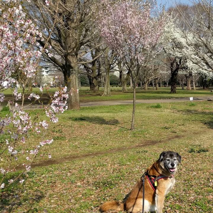 Dabeb53c f4c7 4300 93ea 33f01069a3d1 1522223593636