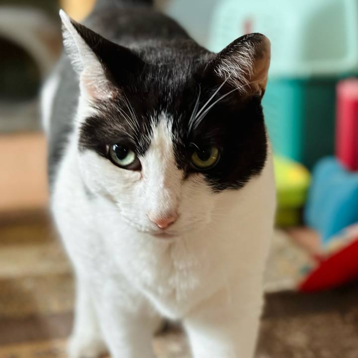 Dabebed3 23b7 4dcf 95b7 d999c6c58416 1719711702596