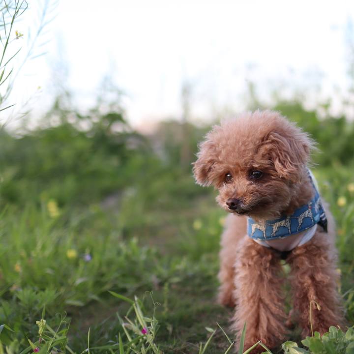 Dabeccfa 1e59 4680 a25f 65e194e0cf42 1591882456846