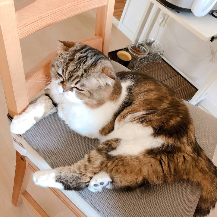 Dabee84c f643 4388 a1c8 b4b3a1afcf32 1564915604187