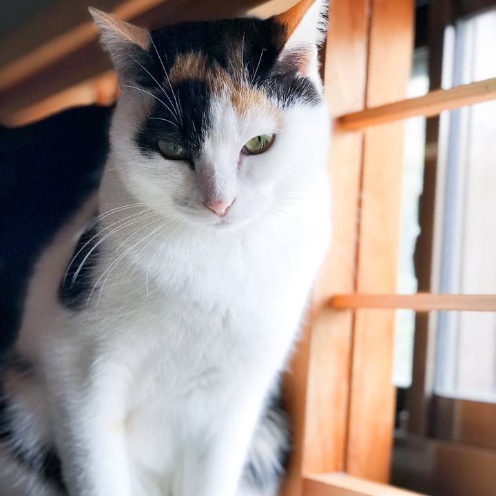 Dabef657 01e2 4b6e a0d2 1f8804a2eb83 1514594735475