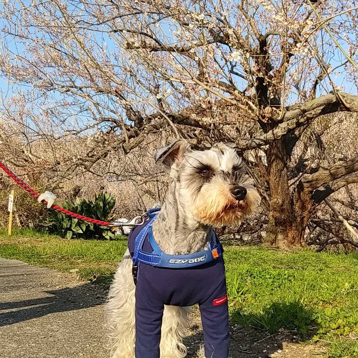 Dabf1080 709a 4afa 855c b3f1afed2f81 1613876098989