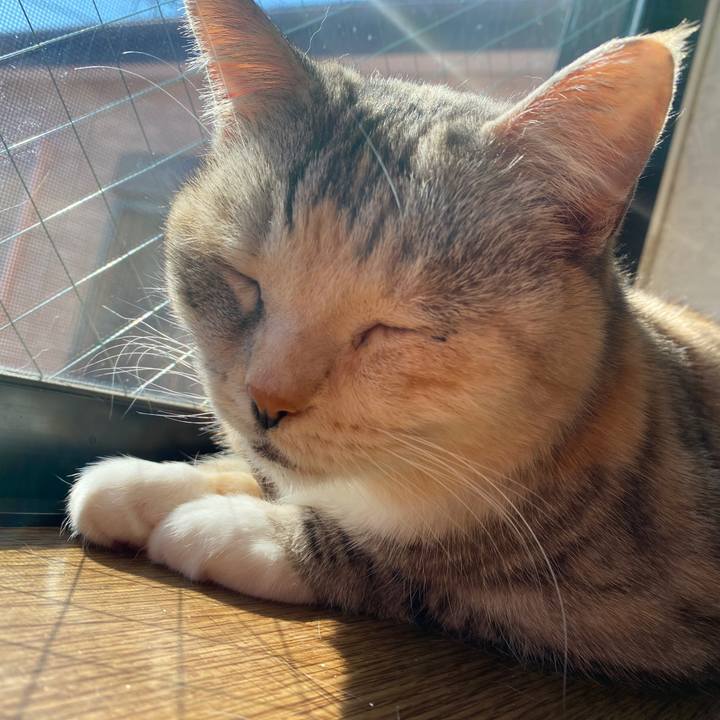 Dabf6556 ff20 408b a0ae 05dabf3ee1f4 1644375218115