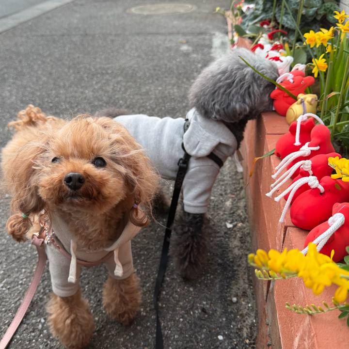 Dabf7d74 2493 4c5d 8e5e e9eaaa15d7fb 1772323027418