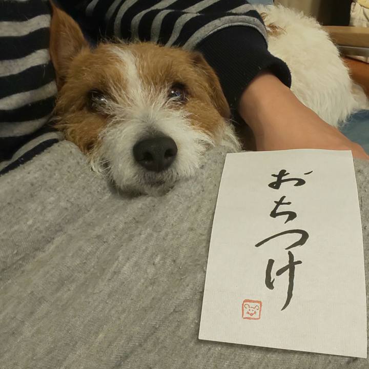 Dabf8fb4 9841 4ccc bf44 ad10b6ea9a23 1581158372101