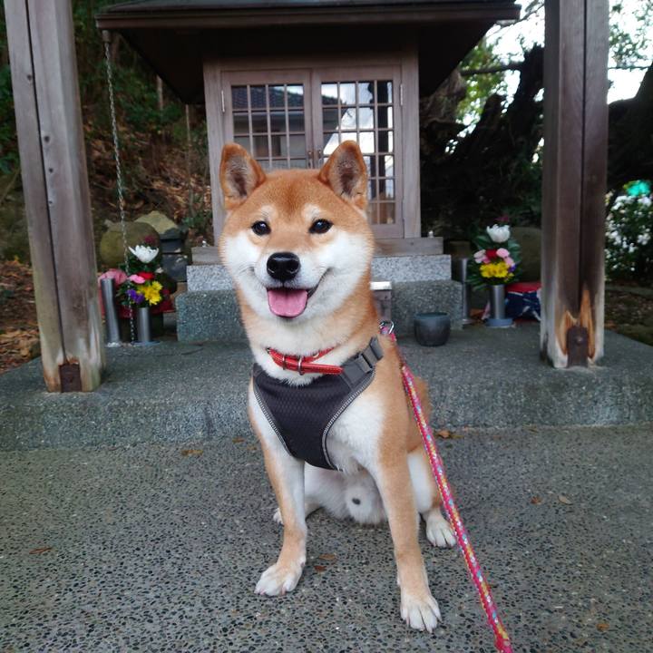 Dabfc47a c7c9 4816 b316 02fe6876af6d 1765766874361