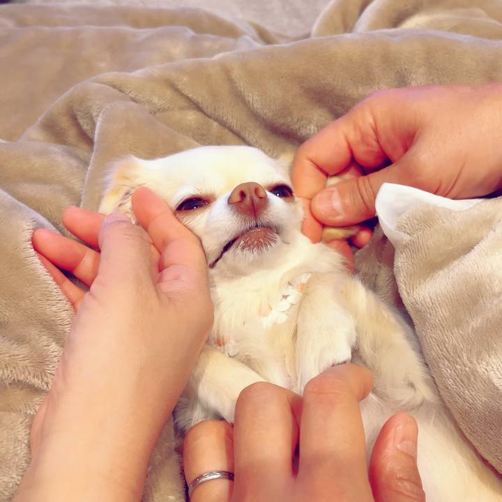 Dabfc733 c4d9 49a6 8eeb 82c7ff87650b 1705141293618