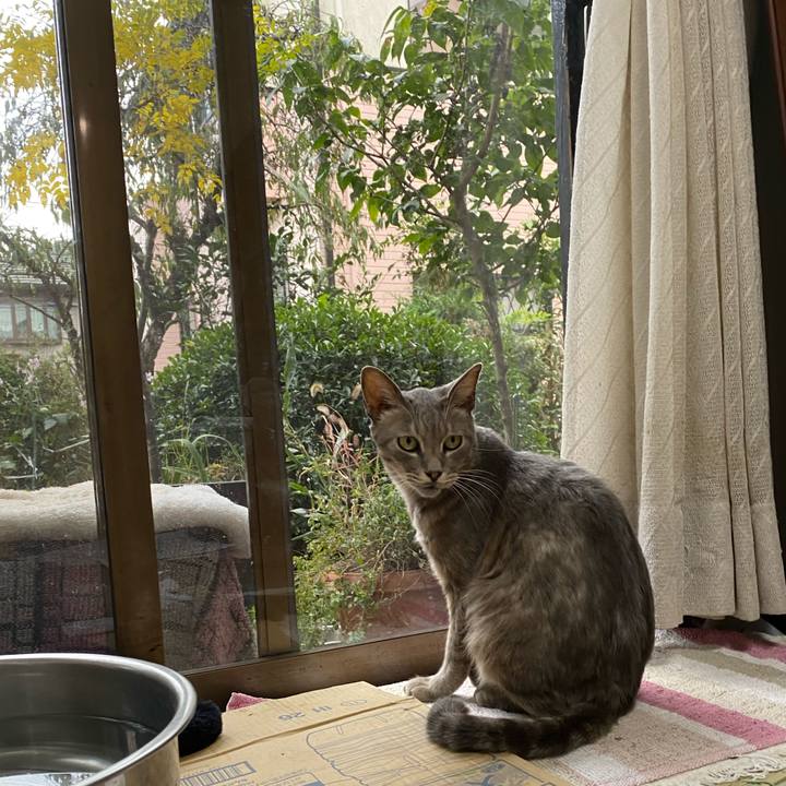 Dabfd169 02e8 4843 9fb0 2d9f7c6ab252 1604236902591