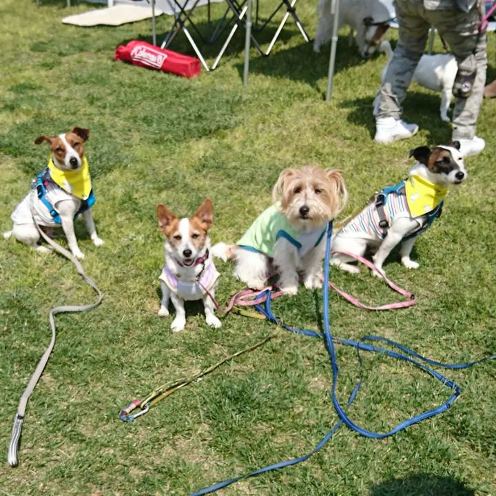 Dabff79d 7e12 445f 8a5b f94bece0e6f9 1556958393013