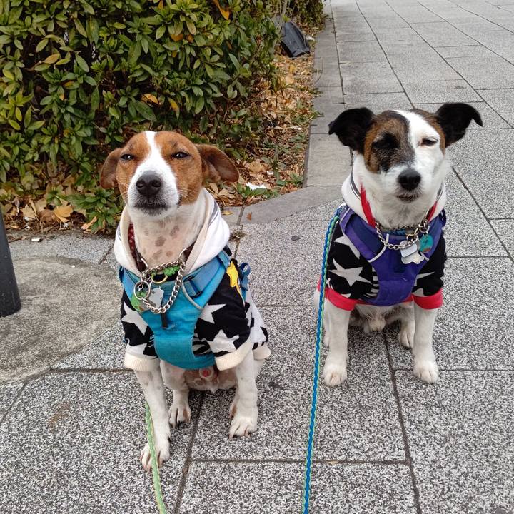 Dac0117f c413 4429 9d93 46100c2044fc 1643460859545