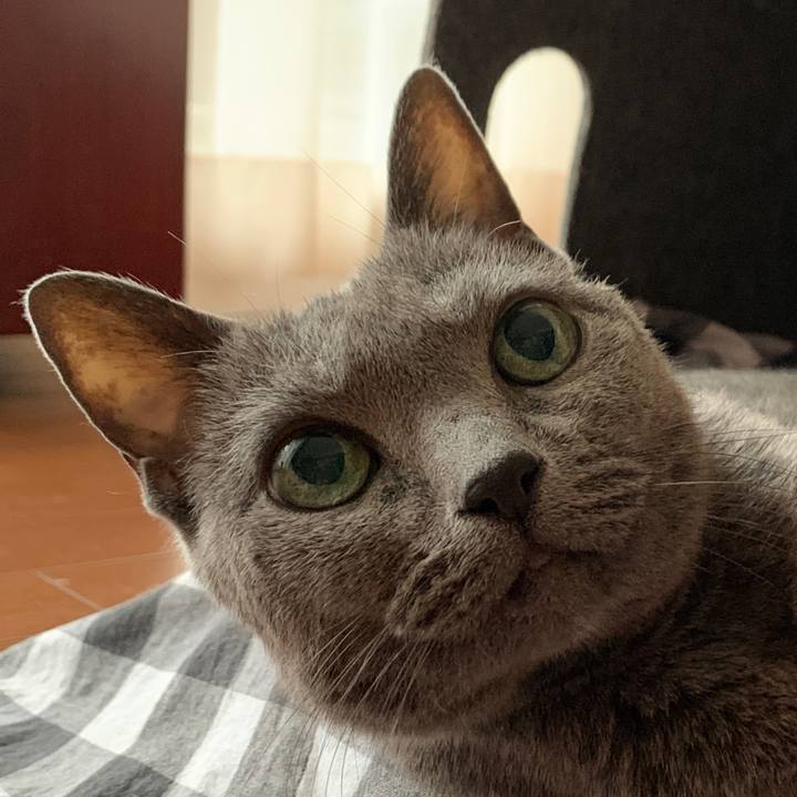 Dac01946 394f 4fc0 bddb 07b50f88e4d0 1570487851652