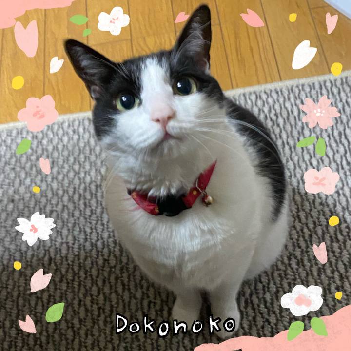 Dac02f62 3d95 4d54 a99c c9996be074fd 1711575661444