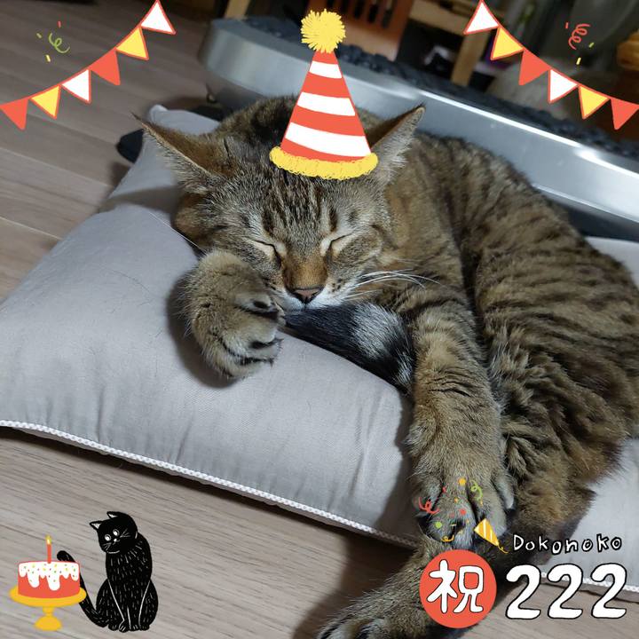 Dac03c61 e728 4ebc affb abf58e15281e 1645534519955