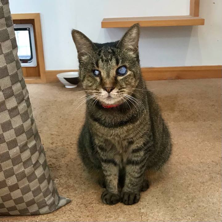 Dac06f39 bfe0 4981 ac86 8ec630503fb2 1632299111296