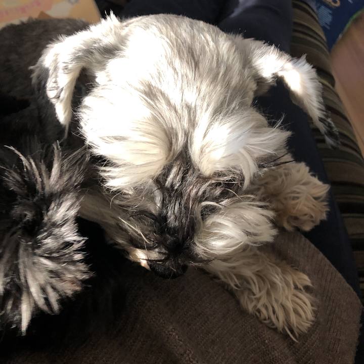 Dac07f24 90f2 483e b196 8e8e64280a6b 1551483482125