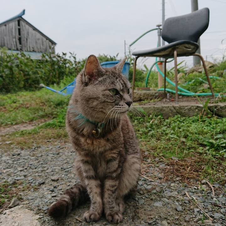 Dac0bb2a 73e1 4d91 9706 3f4be5a4436d 1569106451652