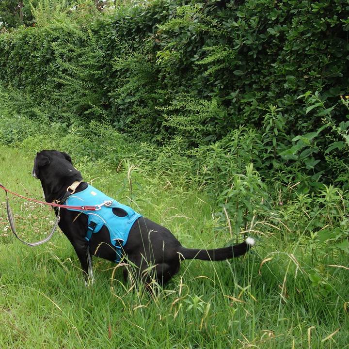 Dac0d420 f519 49e7 9075 05bd29e2b57b 1716855603731