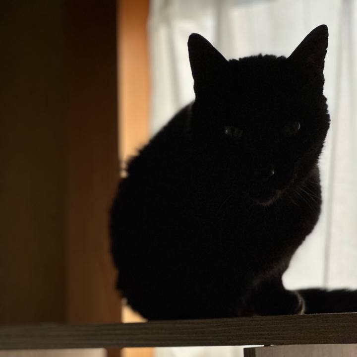 Dac0dfb5 eae2 4046 9cd1 7c2b785181ba 1701654361461