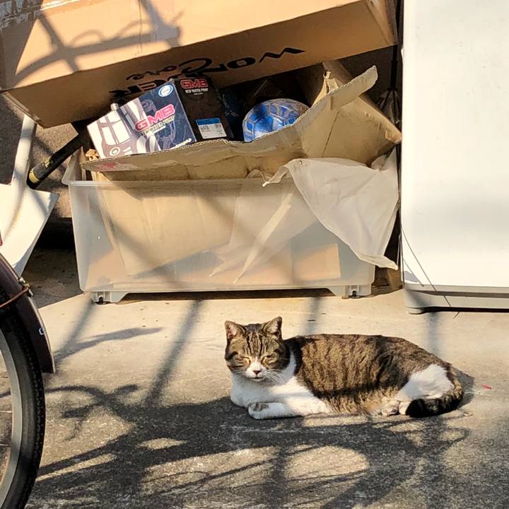 Dac11925 644c 471a 8319 670c0b2f1e6e 1519718204891