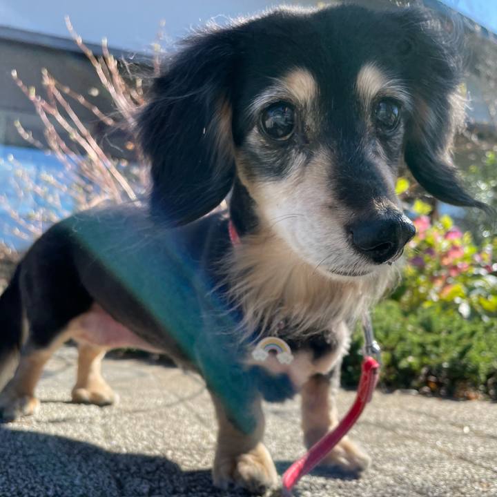 Dac11eb2 837e 419a a2da 28e4ef483bfa 1710749849321