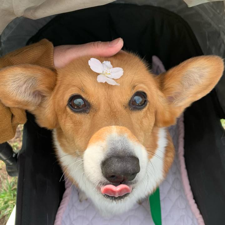 Dac142fc cd32 433e a59a 7eb9cc8af6eb 1616820625374