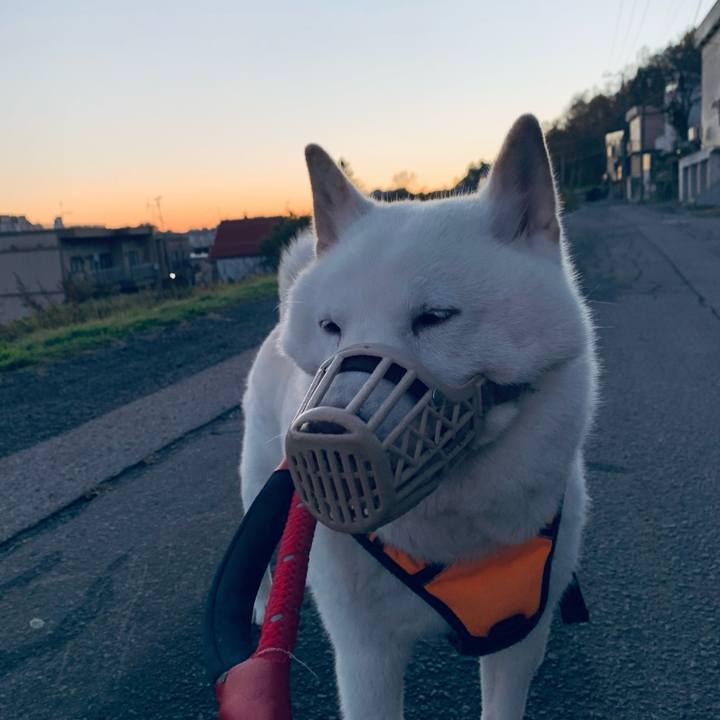 Dac19fcc 241d 4d4b bbef 4c92eb0b28b3 1666646155640