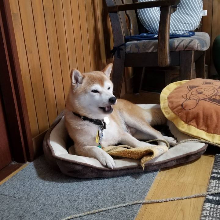 Dac1e01c d615 4e89 8797 33b4e119e018 1627959874170