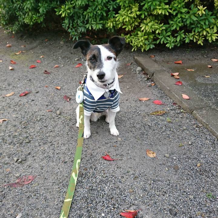 Dac1f459 a327 41b2 a285 a13066ce5639 1510698530679