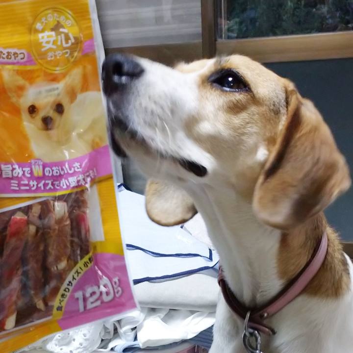 Dac20642 11ef 4965 9ec7 b9c9ced36e56 1599212009108