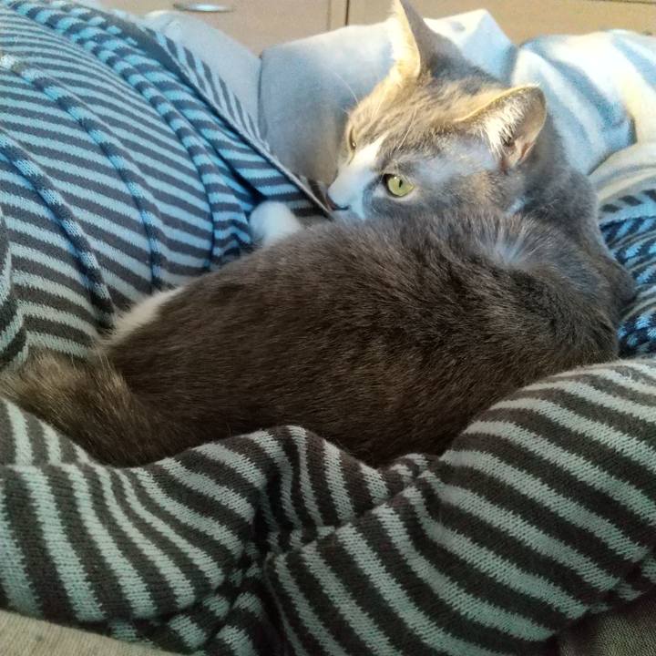 Dac21afb 34e5 4f84 944f a17274162628 1614808894526