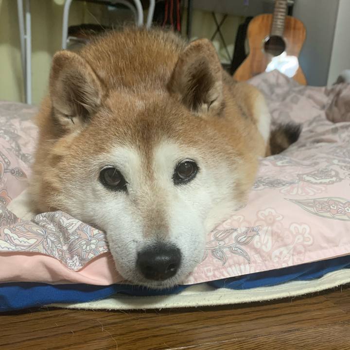 Dac23717 1e84 4bc3 b290 73abe5705914 1582757644235