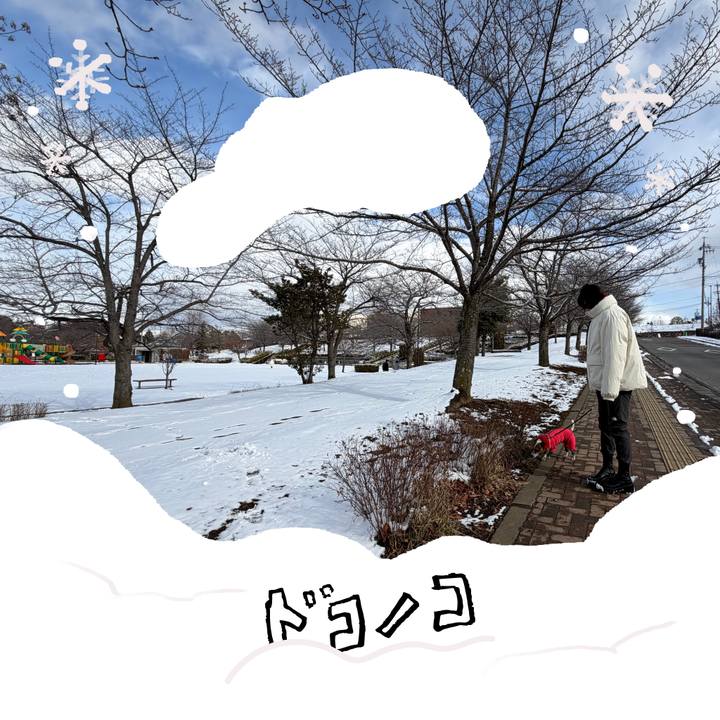 Dac252bc fe86 4f66 bef3 3ec68c111531 1771927461102