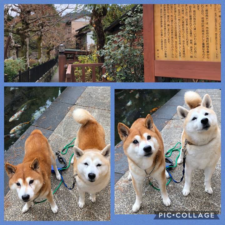 Dac2b4bd ad06 42d4 8647 fd4ad3a21795 1544316904917