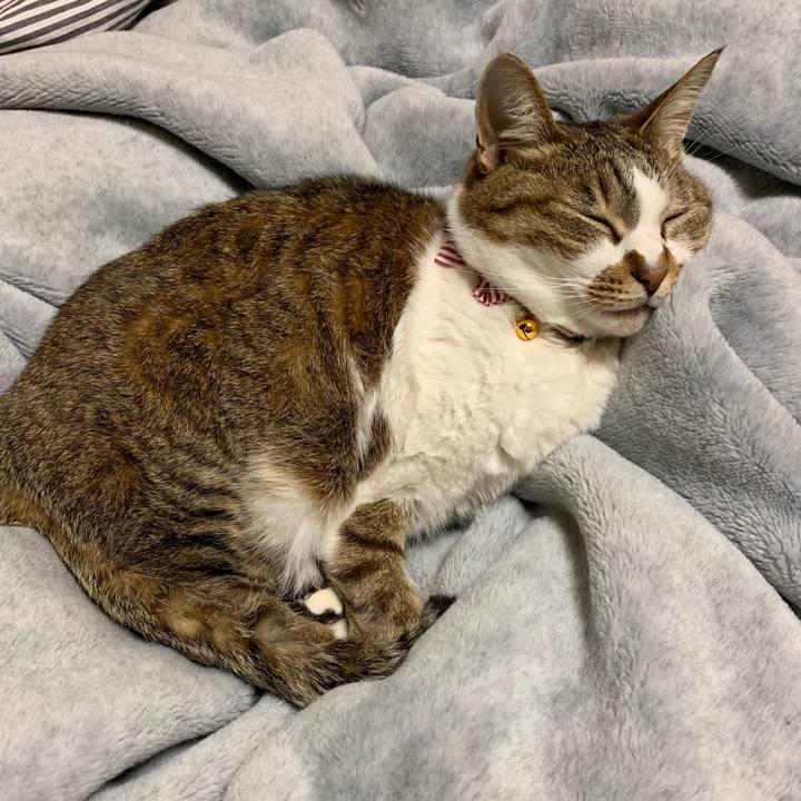 Dac2e353 f6e9 4ab9 a9ef 251eea5b7f6f 1555333793945