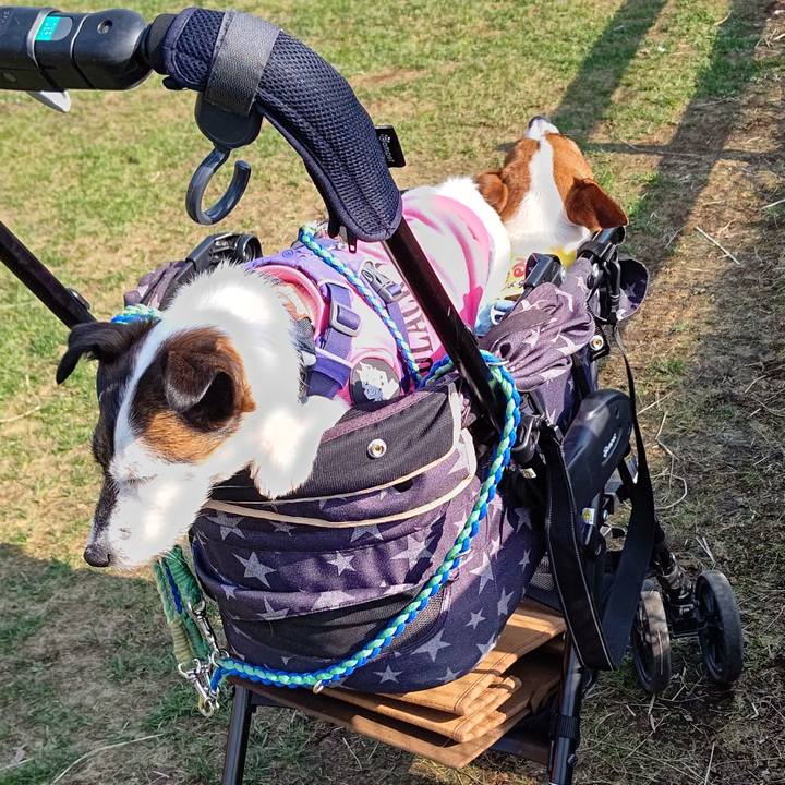 Dac2f280 549e 41f0 9ab5 83d905605c5a 1649665517882